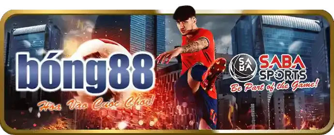 Cá cược các môn thể thao khác tại dr88
